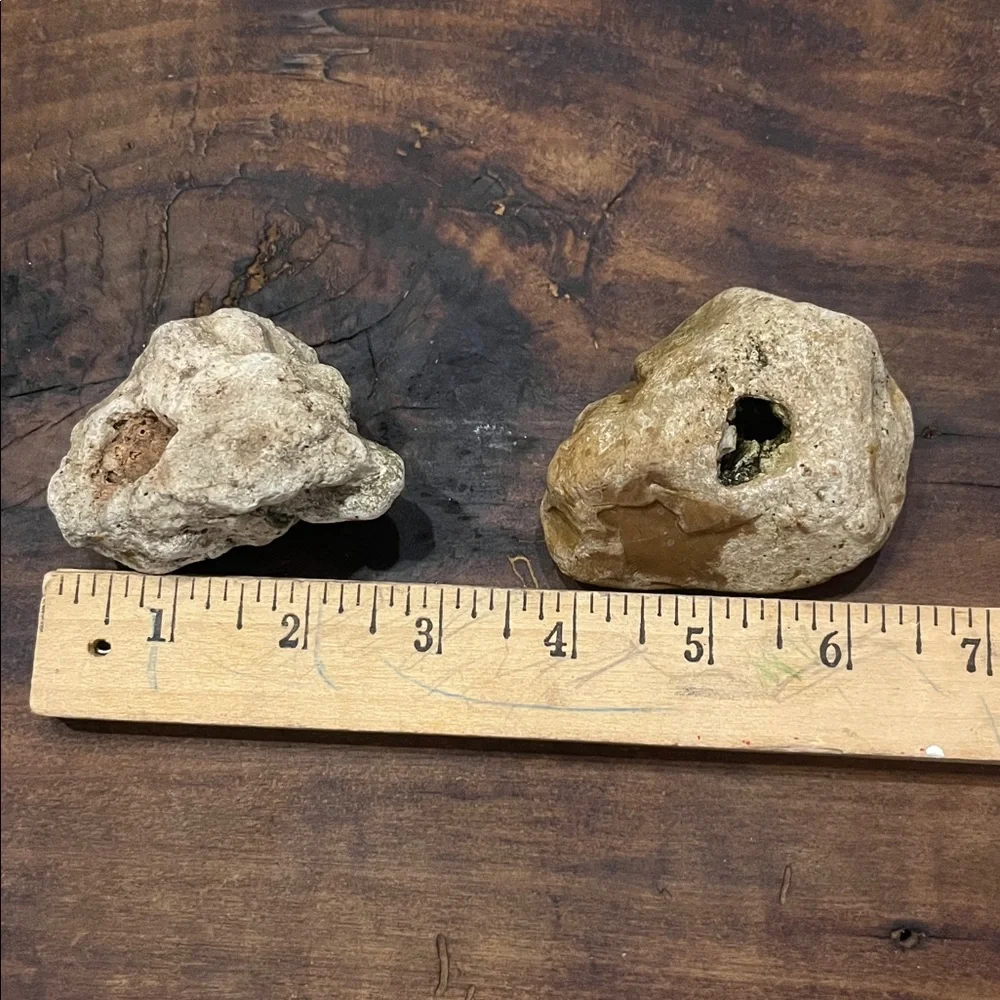 Natural Rock With Holes Found in off grid creek bed Southern TN Set of 2